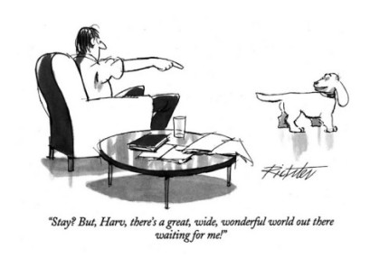 mischa-richter-stay-but-harv-there-s-a-great-wide-wonderful-world-out-there-waiting-new-yorker-cartoon.jpg
